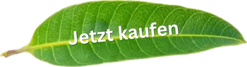 Jetzt kaufen
