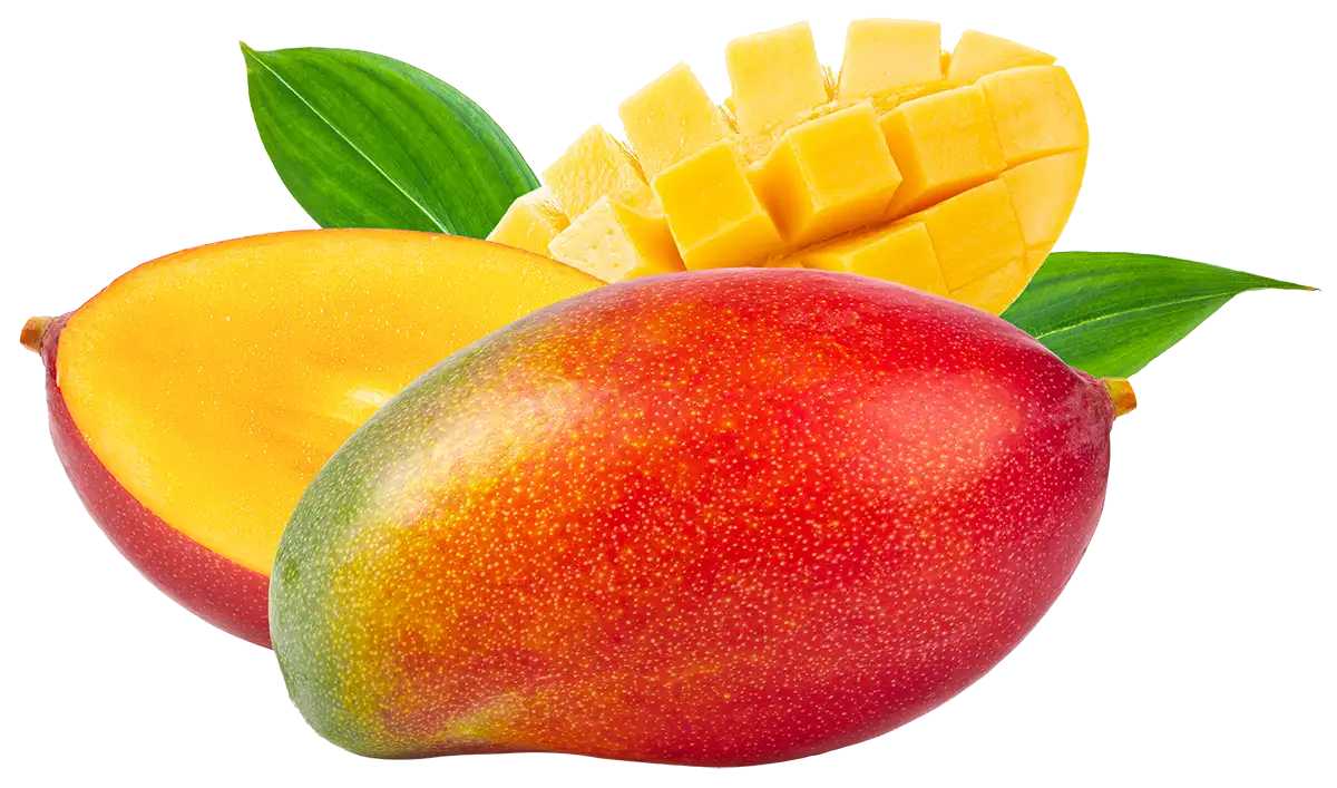 Mango als Zutat für den Ellyfit Fitnessdrink